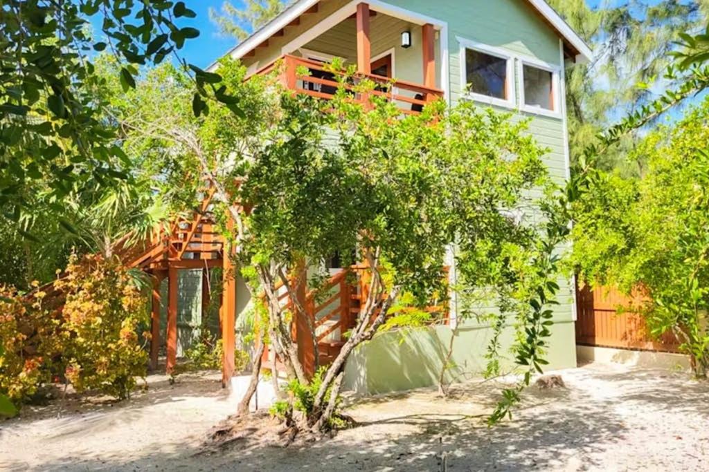 Photo of Others in Caye Caulker