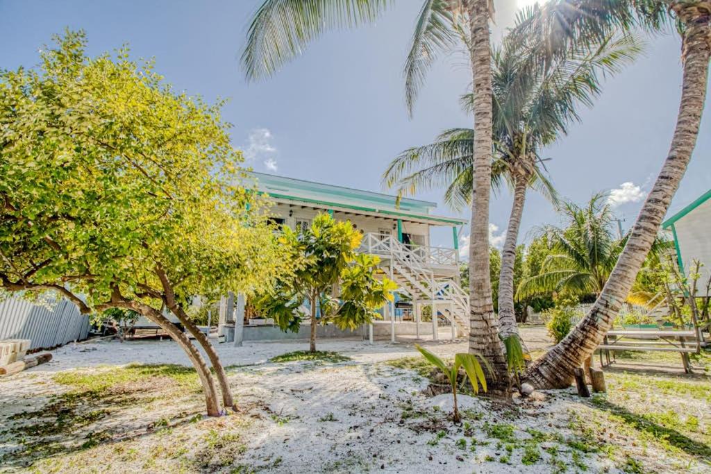 Photo of Others in Caye Caulker