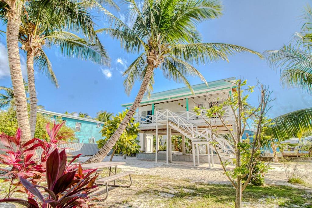 Photo of Others in Caye Caulker