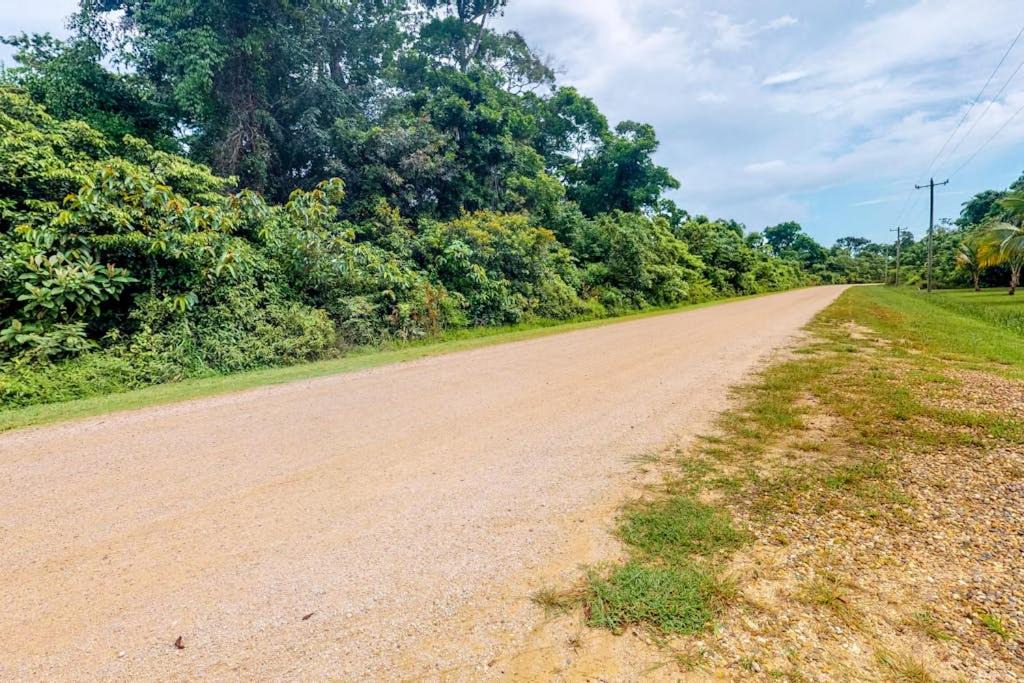 Photo of Others in Sanctuary Belize