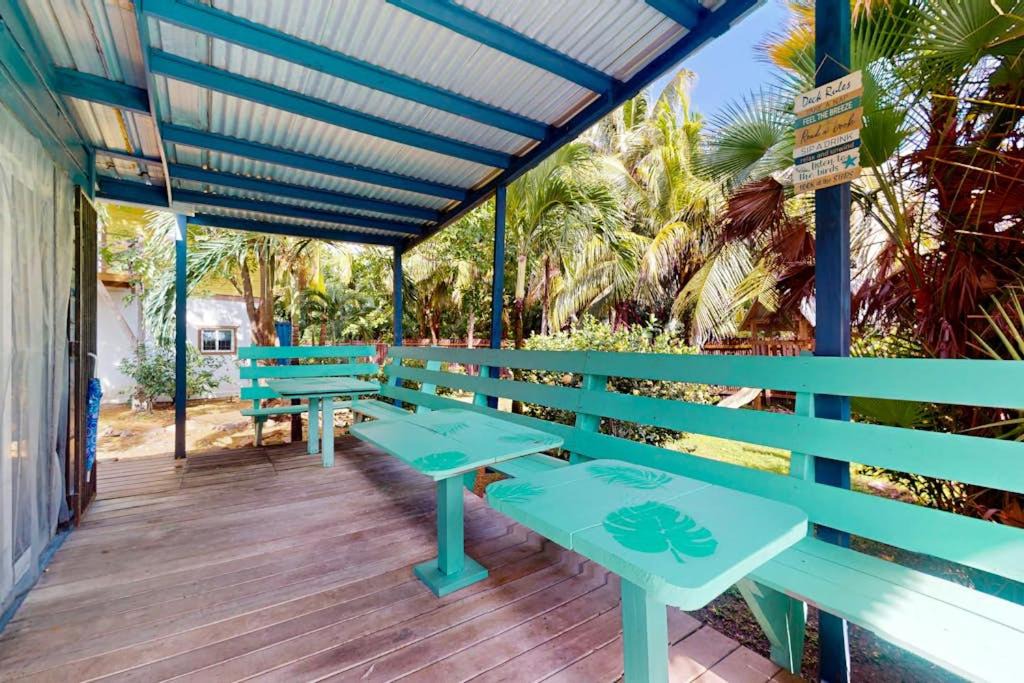 Photo of Others in Placencia