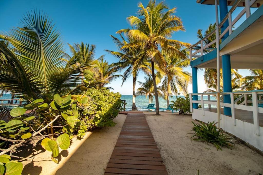 Photo of Others in Placencia