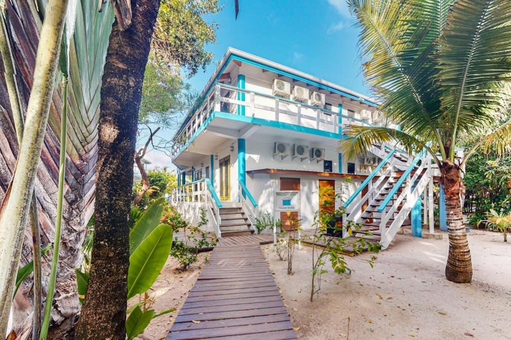 Photo of Others in Placencia