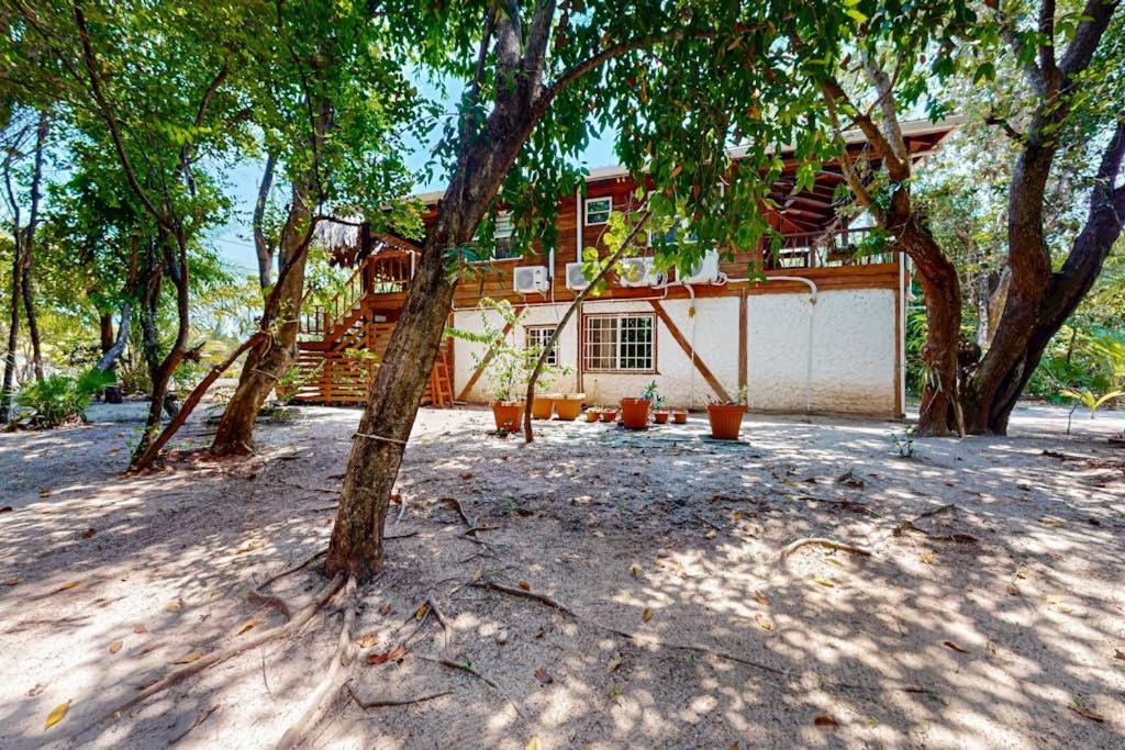 Photo of Others in Placencia