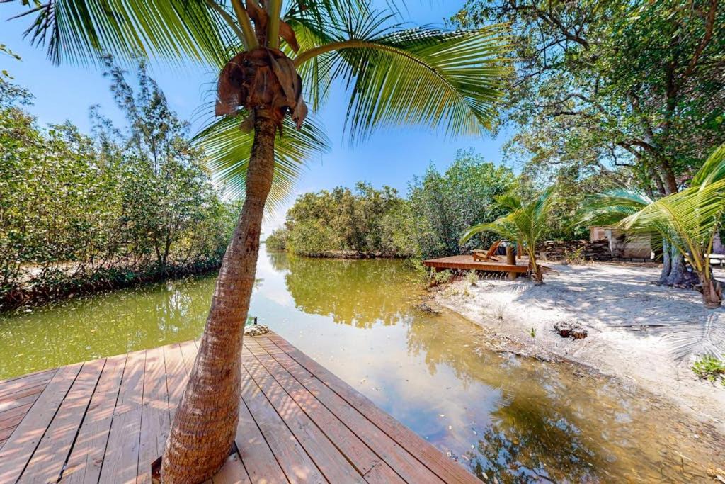 Photo of Others in Placencia
