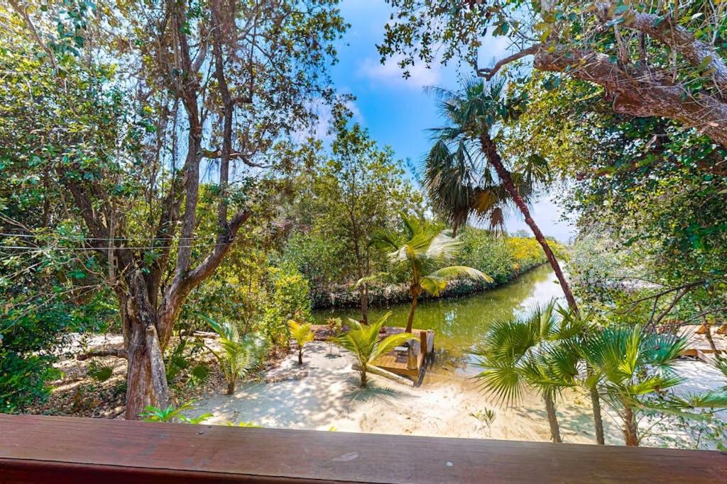 Photo of Others in Placencia