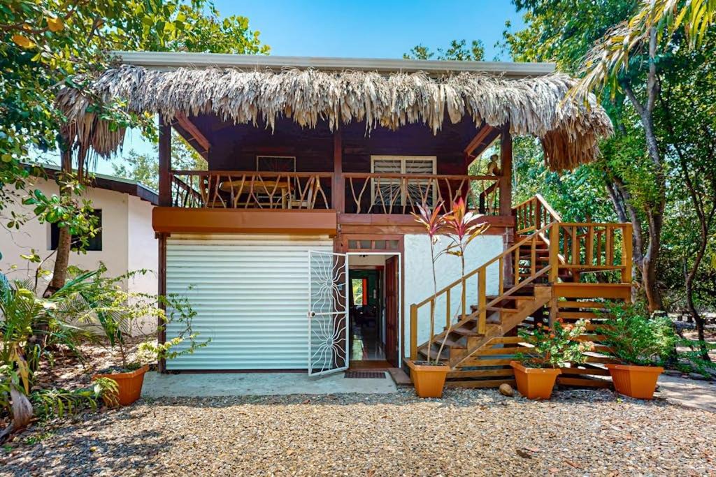 Photo of Others in Placencia
