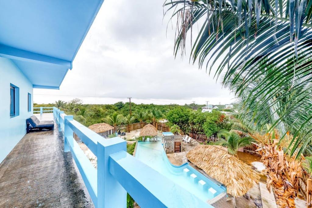 Photo of Others in Caye Caulker