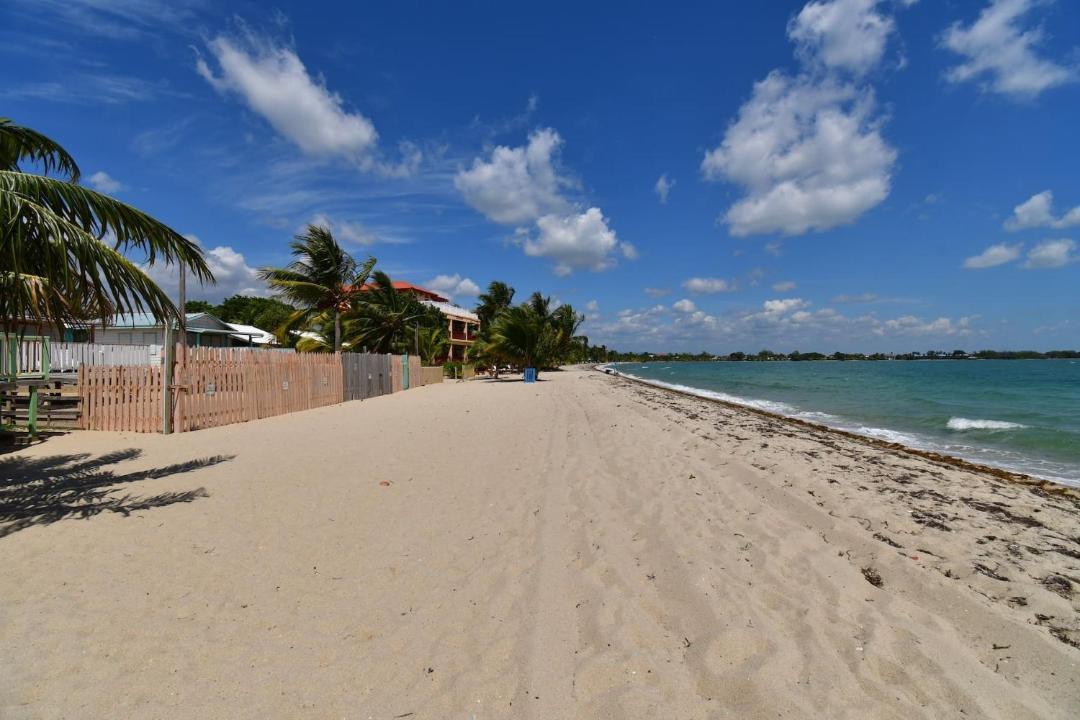 Photo of Others in Placencia