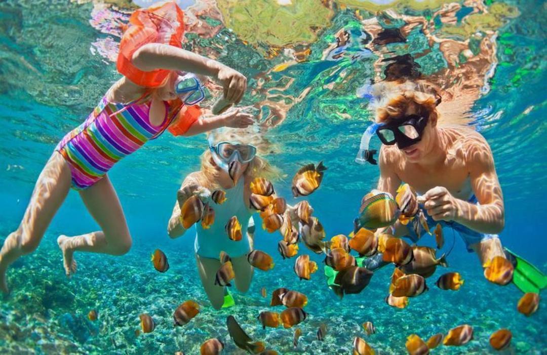 Photo of Others in San Pedro