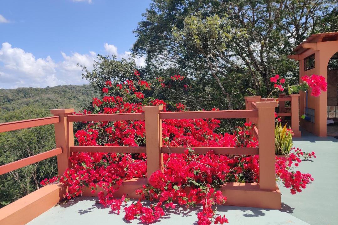 Photo of Others in San Ignacio