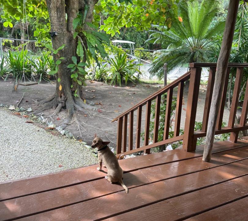 Photo of Others in Caye Caulker