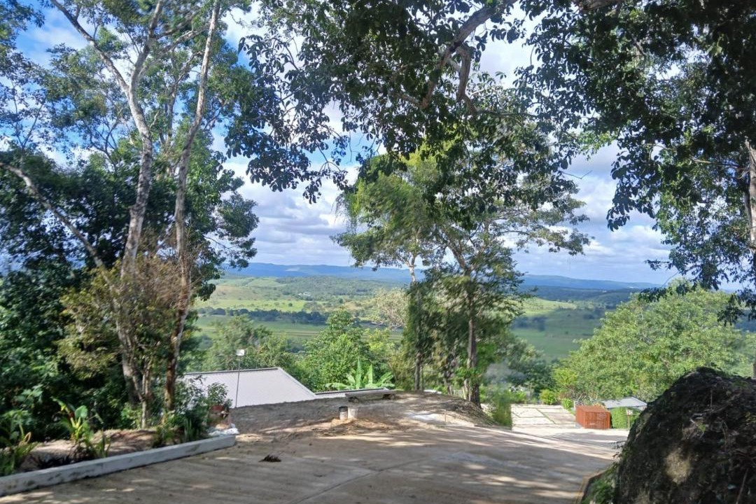Photo of Others in Negroman