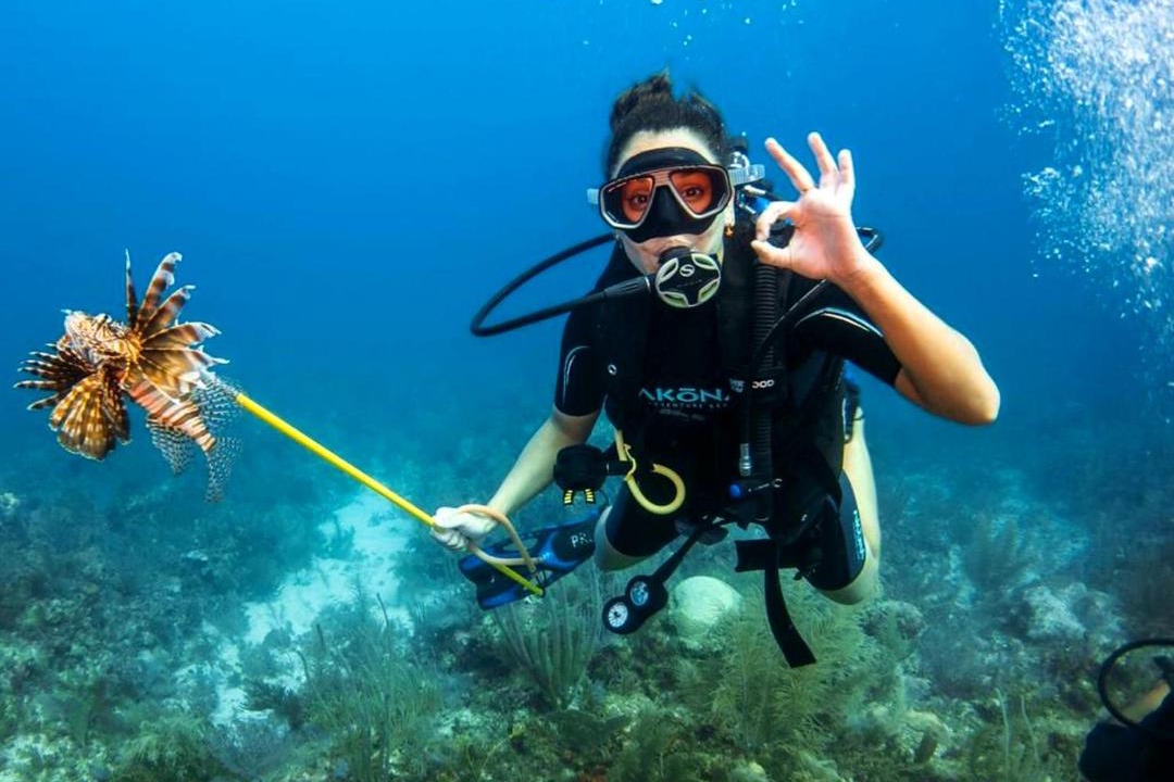 Photo of Others in San Pedro