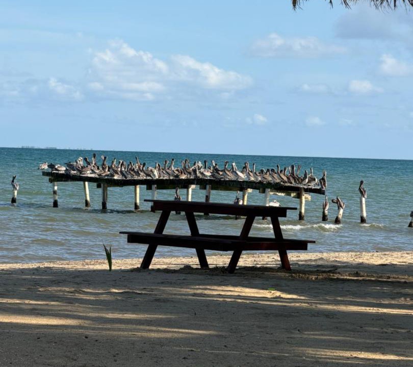 Photo of Others in Dangriga