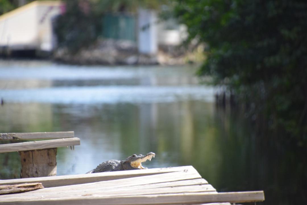 Photo of Others in Vista Del Mar