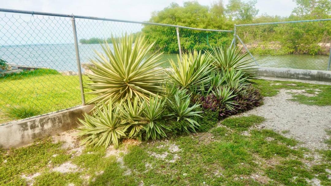 Photo of Others in Belize City