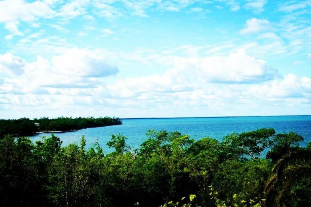 Photo of Others in Belize City