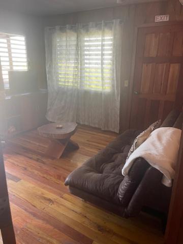 Photo of Others in Placencia