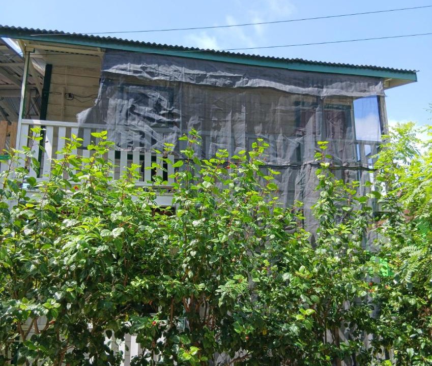 Photo of Others in Placencia