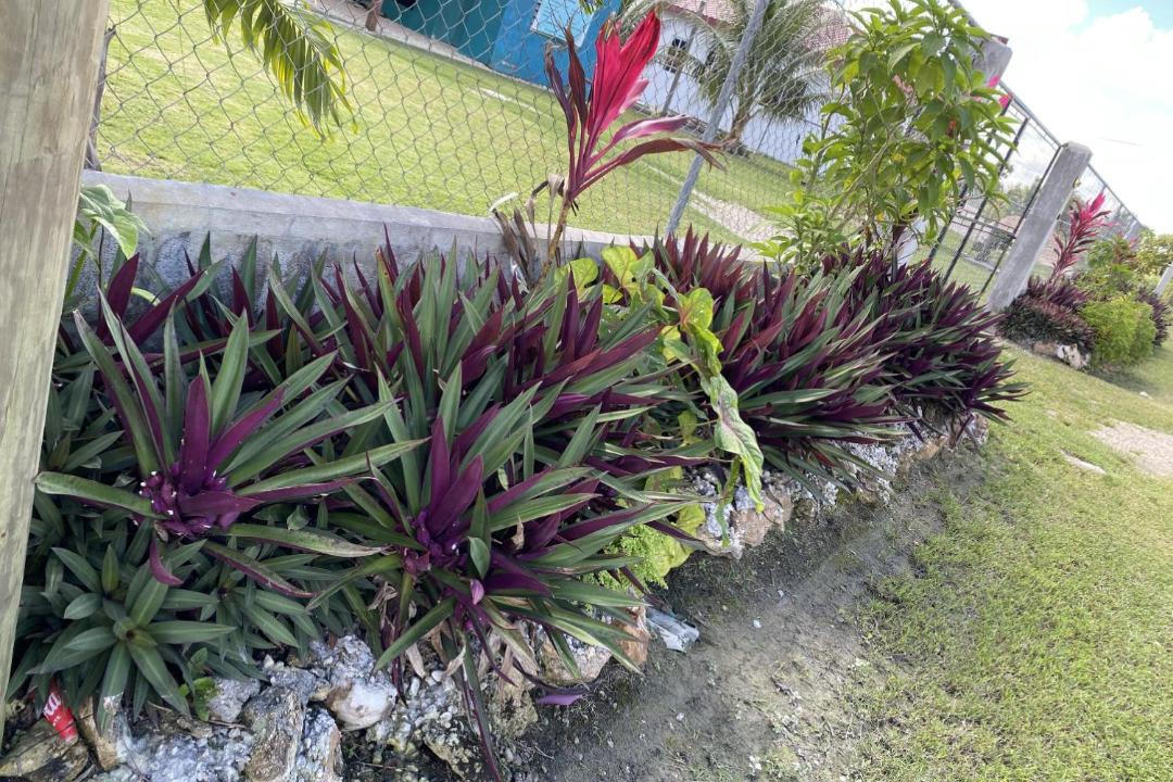 Photo of Others in Orange Walk District