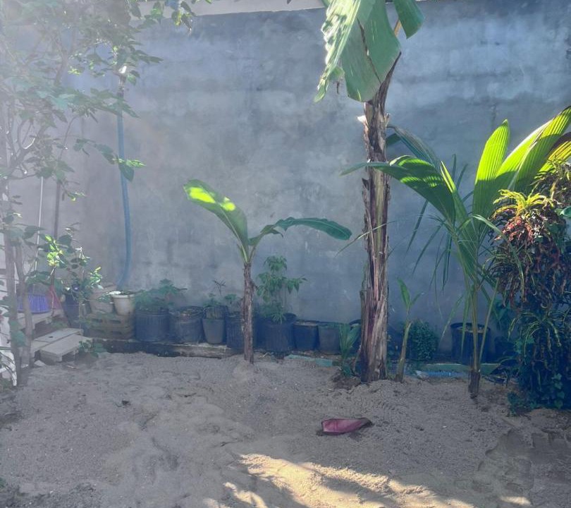 Photo of Others in Placencia
