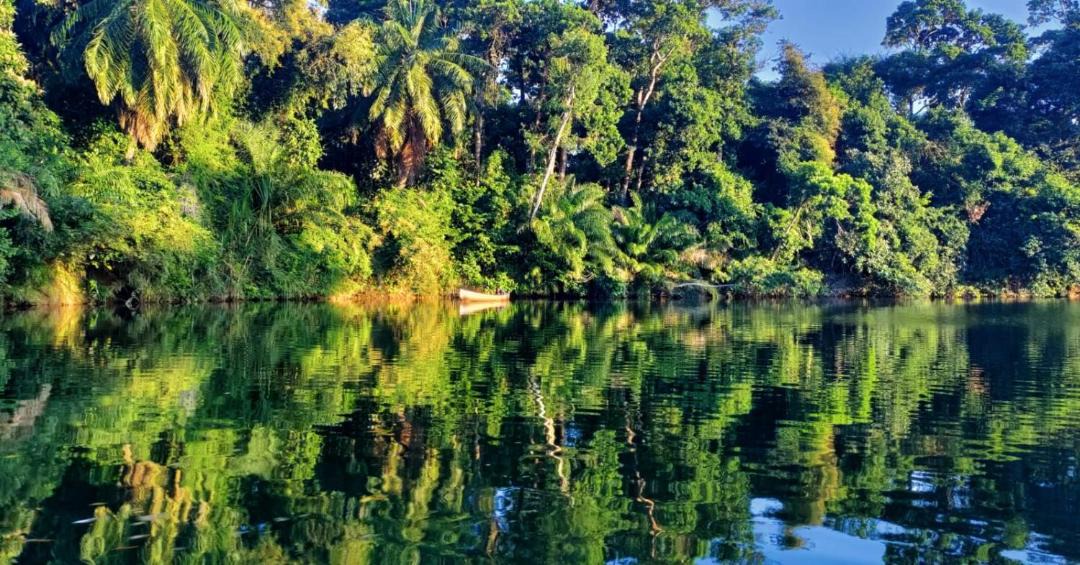 Photo of Others in Sanctuary Belize