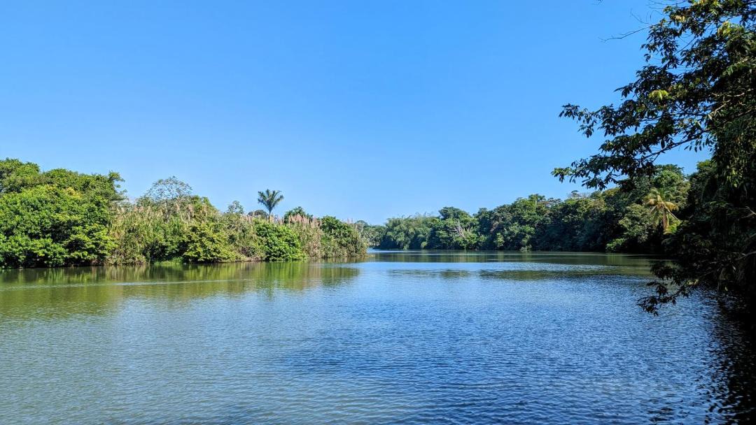 Photo of Others in Sanctuary Belize