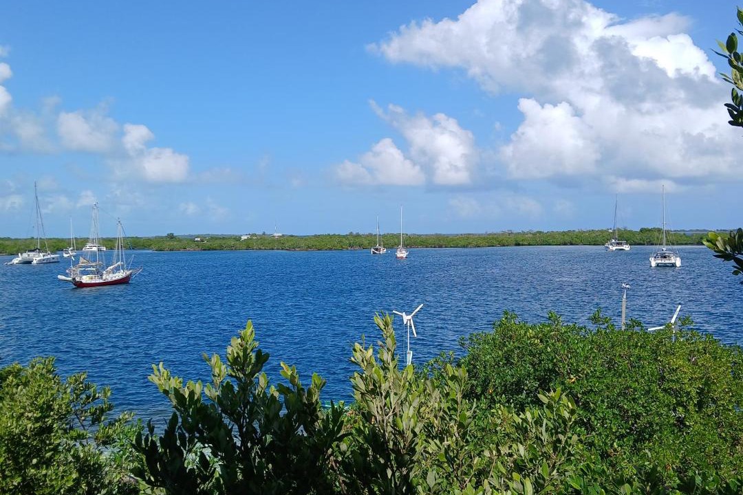 Photo of Others in Sittee Point