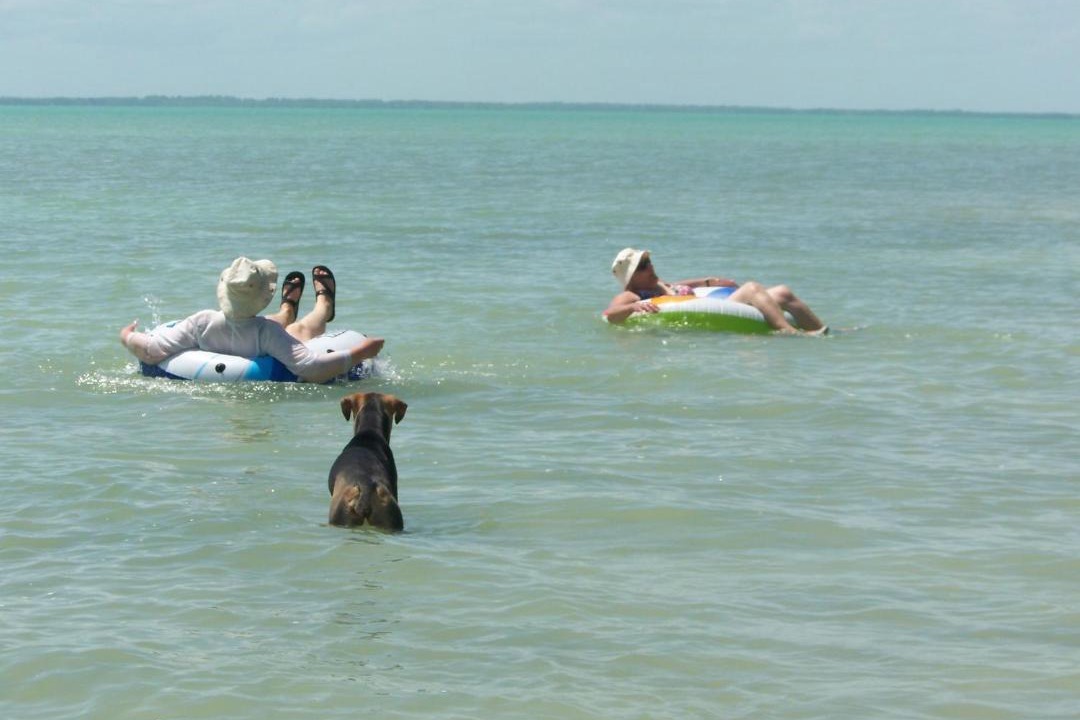 Photo of Others in Corozal