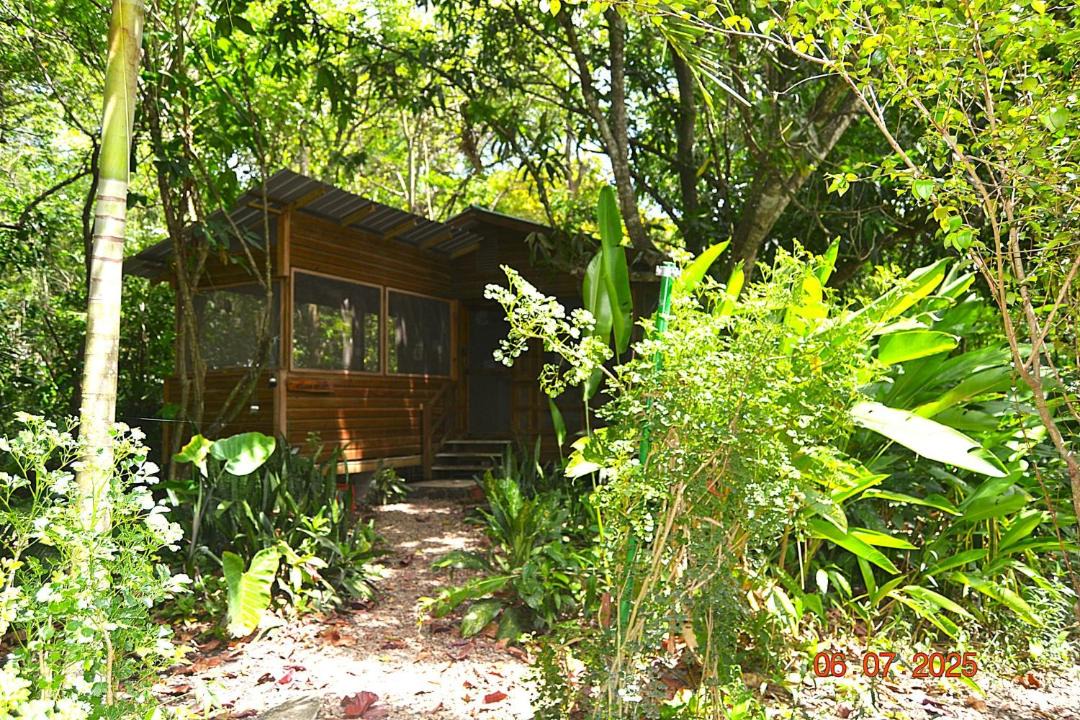 Photo of Others in San Ignacio