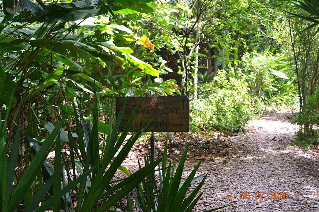 Photo of Others in San Ignacio