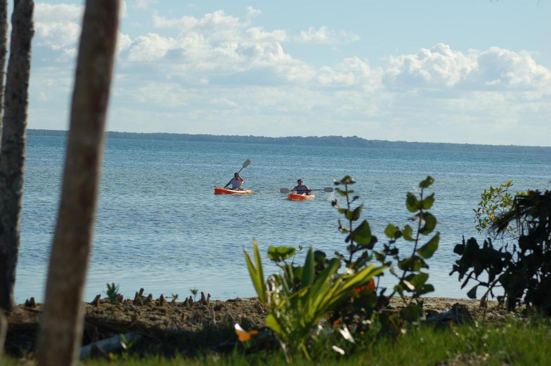 Photo of Others in Corozal