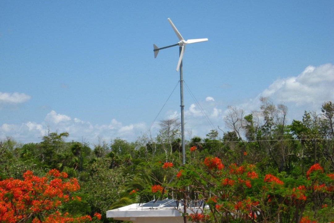 Photo of Others in Corozal