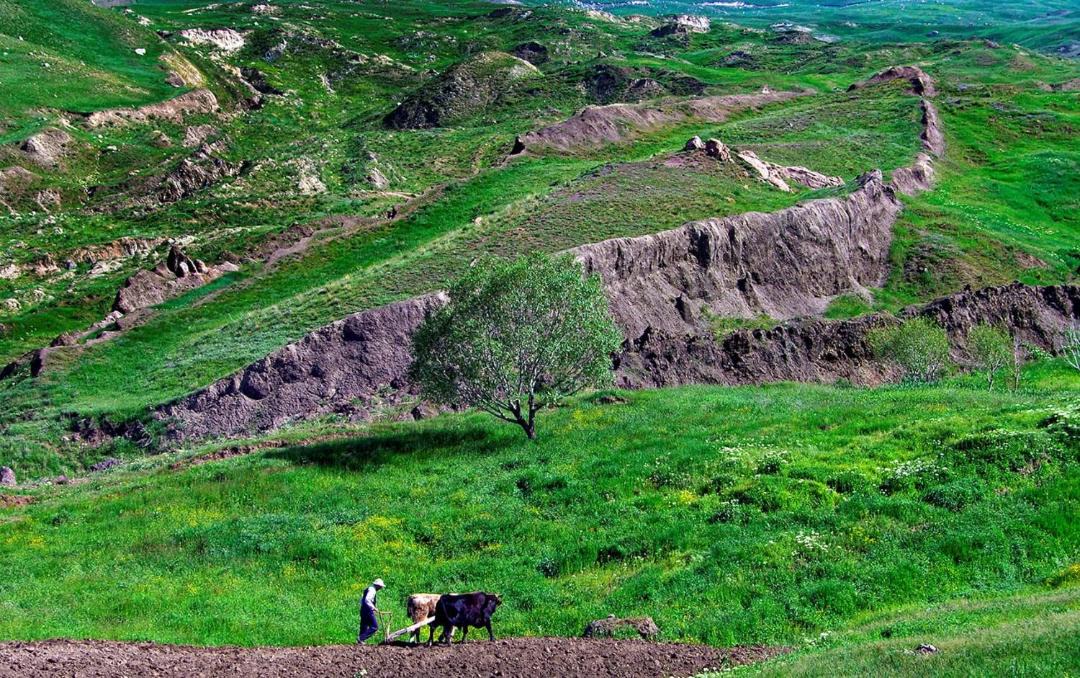 Photo of Others in Dogubayazıt