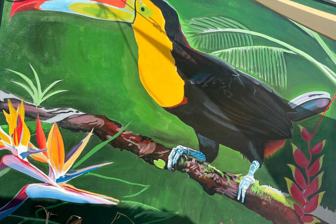 Photo of Others in Caye Caulker