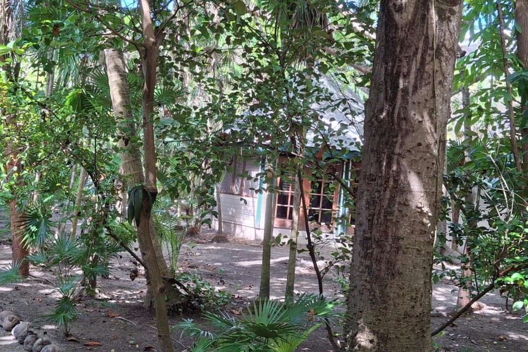 Photo of Others in Caye Caulker
