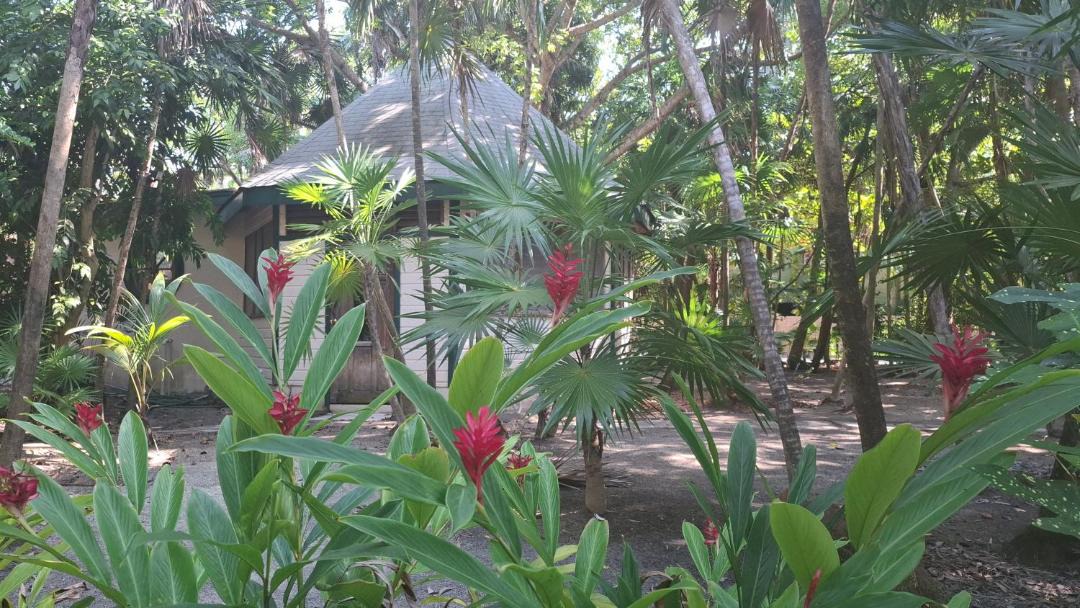 Photo of Others in Caye Caulker