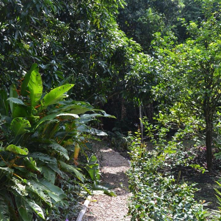 Photo of Others in San Ignacio