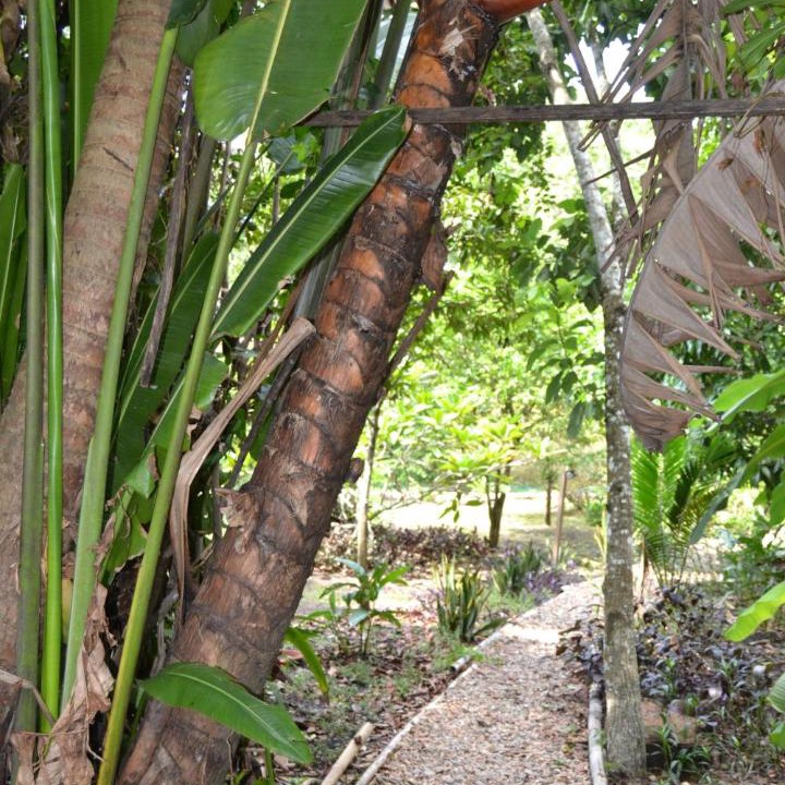Photo of Others in San Ignacio