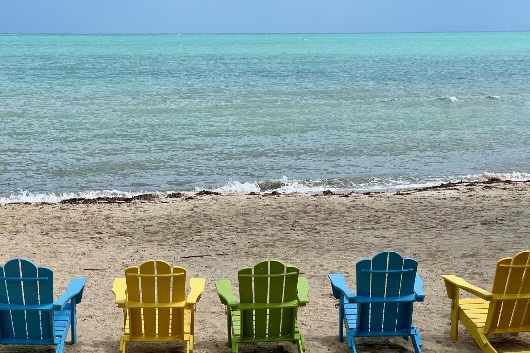Photo of Others in Placencia