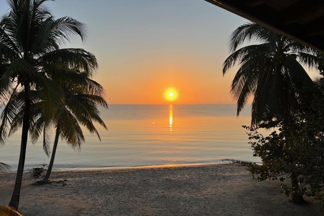 Photo of Others in Placencia
