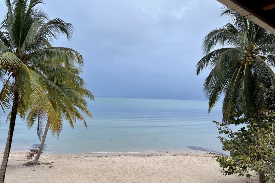Photo of Others in Placencia