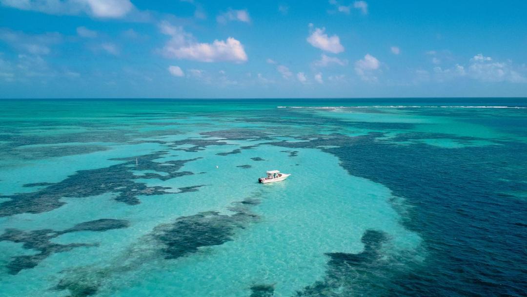 Photo of Others in St. George's Caye