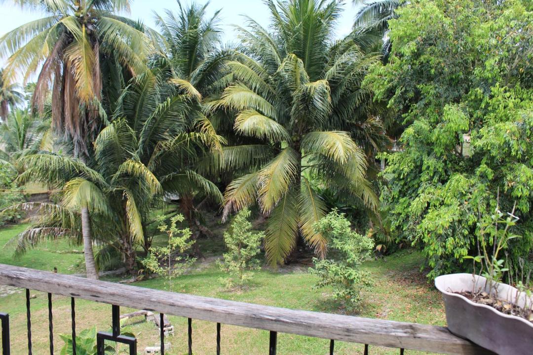 Photo of Others in San Ignacio