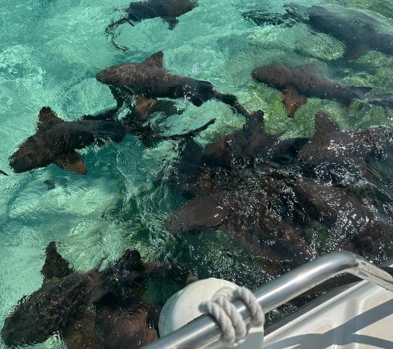 Photo of Others in Caye Caulker