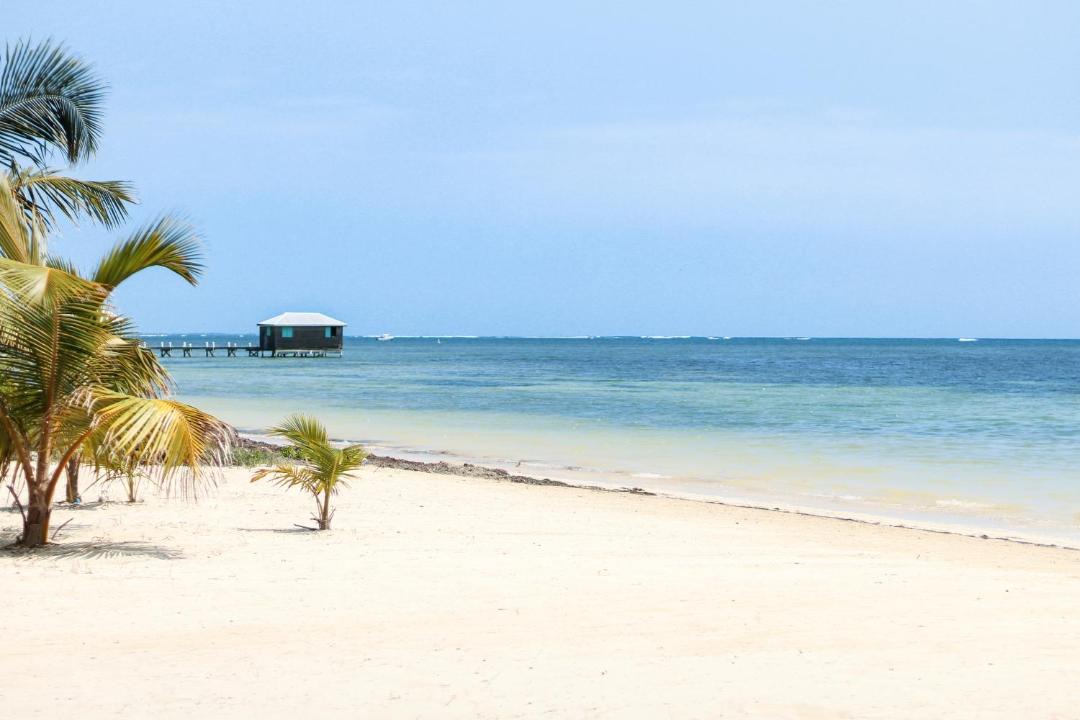 Photo of Others in San Pedro