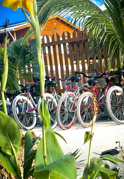 Photo of Others in Caye Caulker