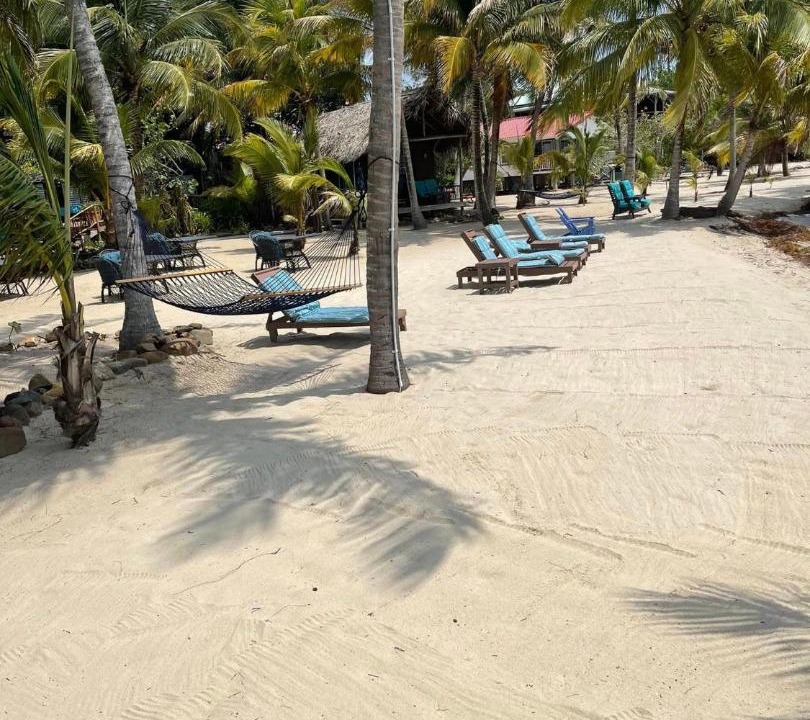 Photo of Others in Placencia