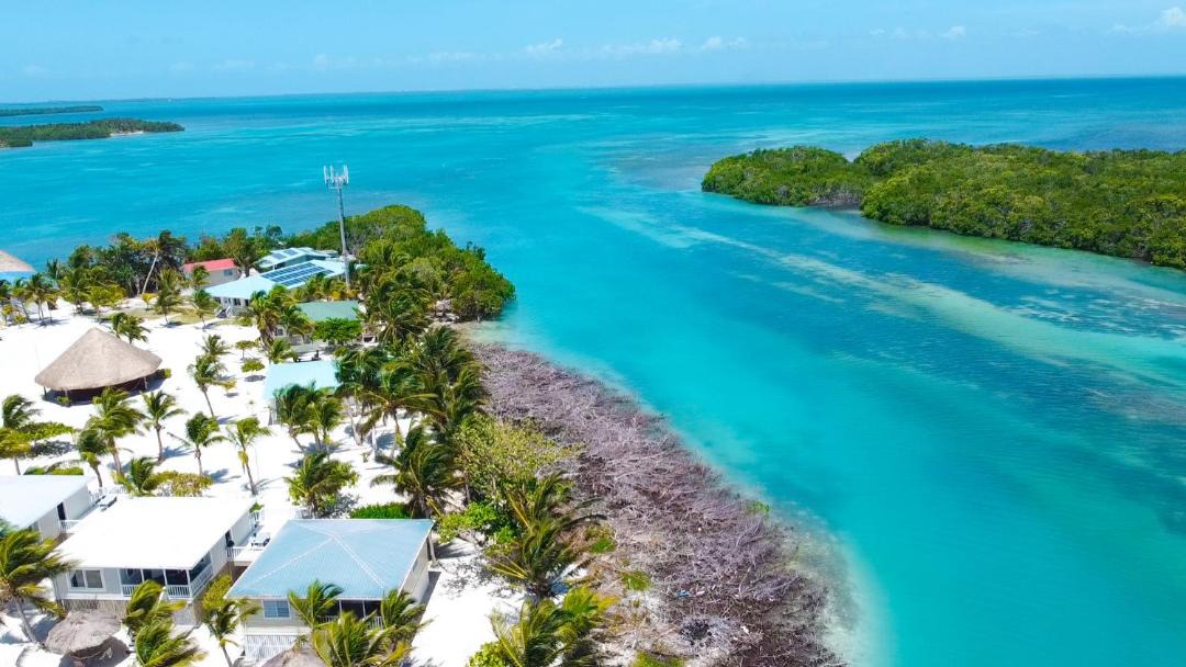 Photo of Others in Little Frenchman Caye